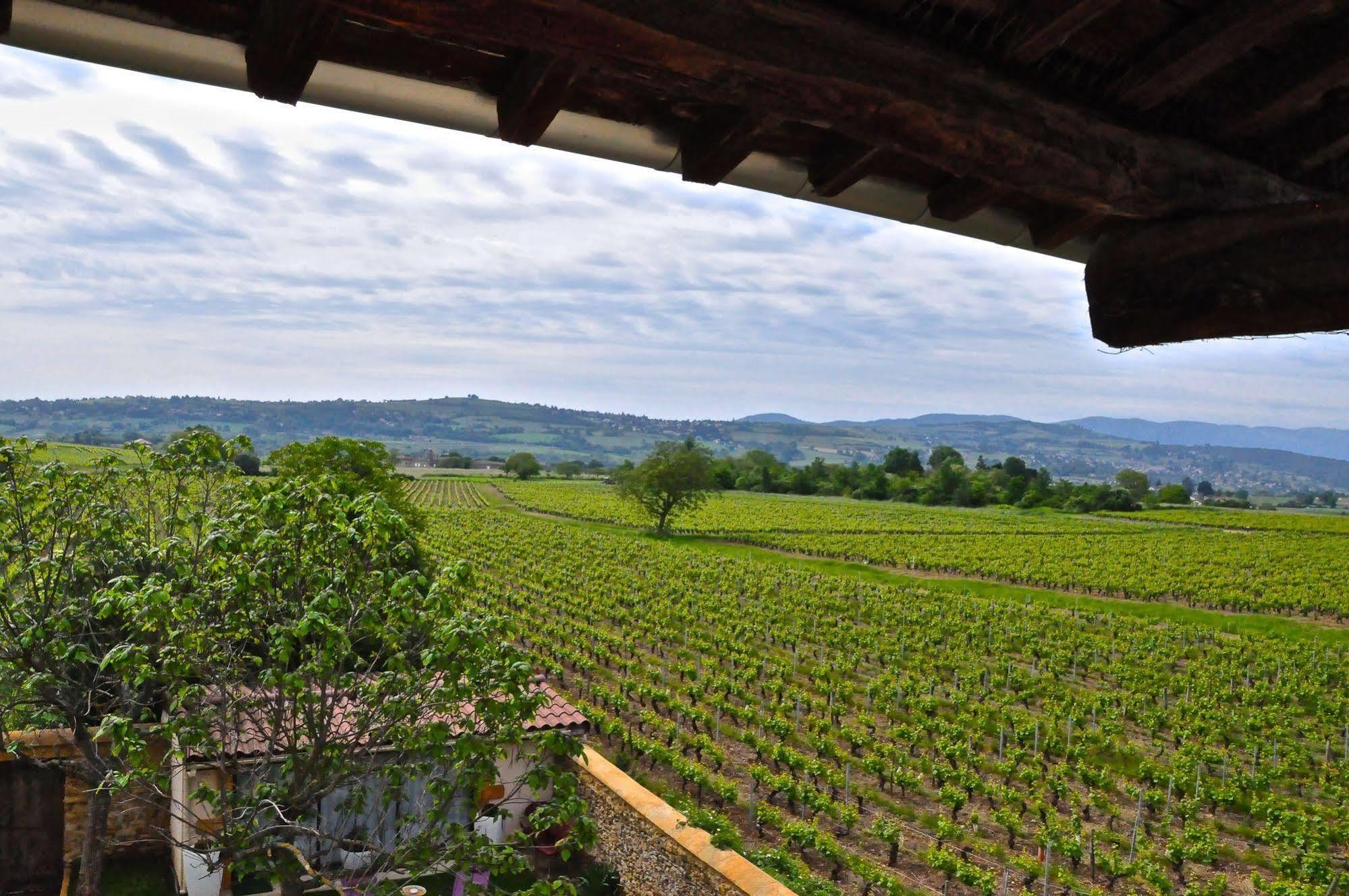 Le Clos Du Cher En Beaujolais Saint-Germain-Nuelles Ngoại thất bức ảnh
