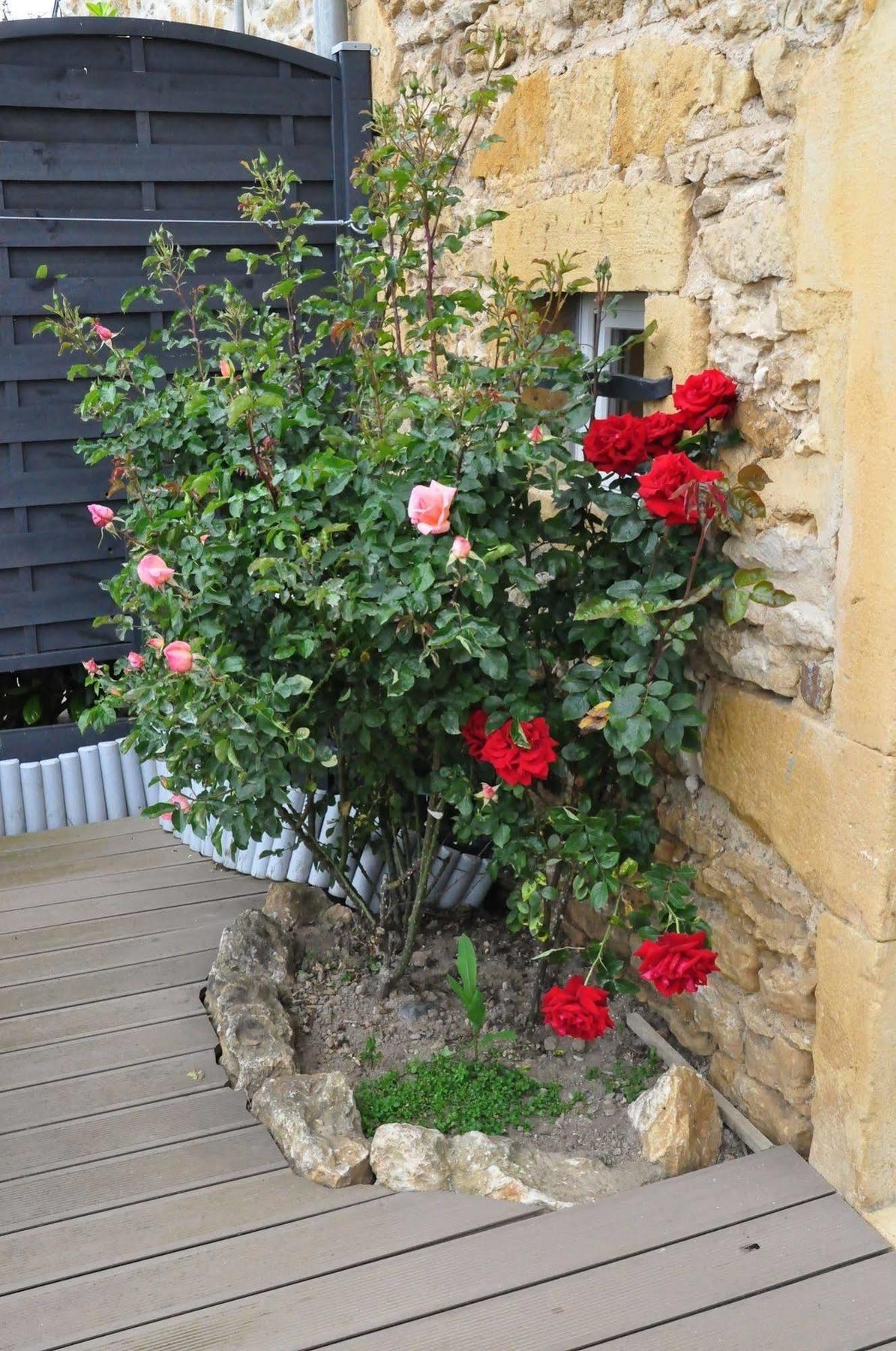 Le Clos Du Cher En Beaujolais Saint-Germain-Nuelles Ngoại thất bức ảnh