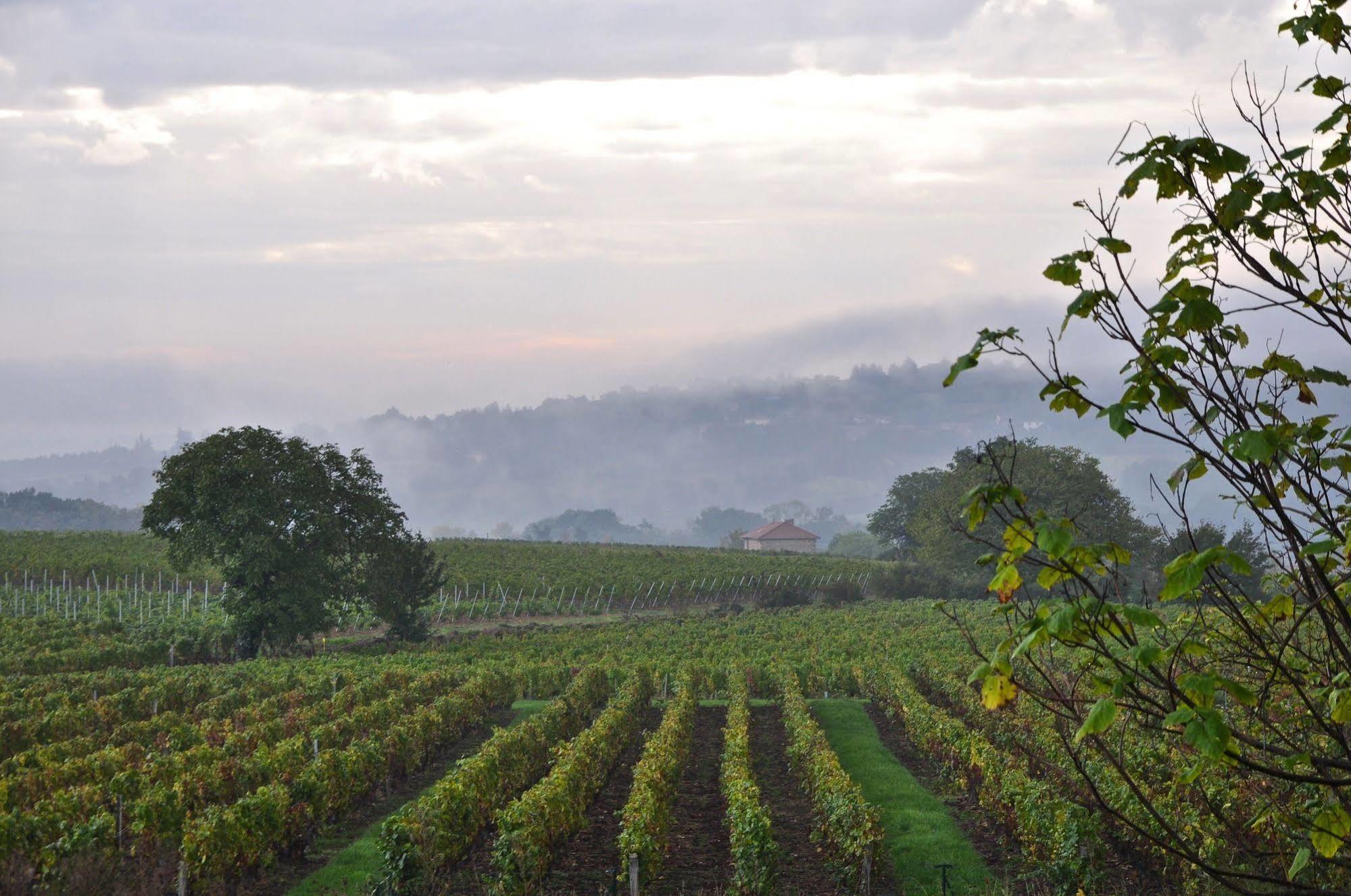 Le Clos Du Cher En Beaujolais Saint-Germain-Nuelles Ngoại thất bức ảnh
