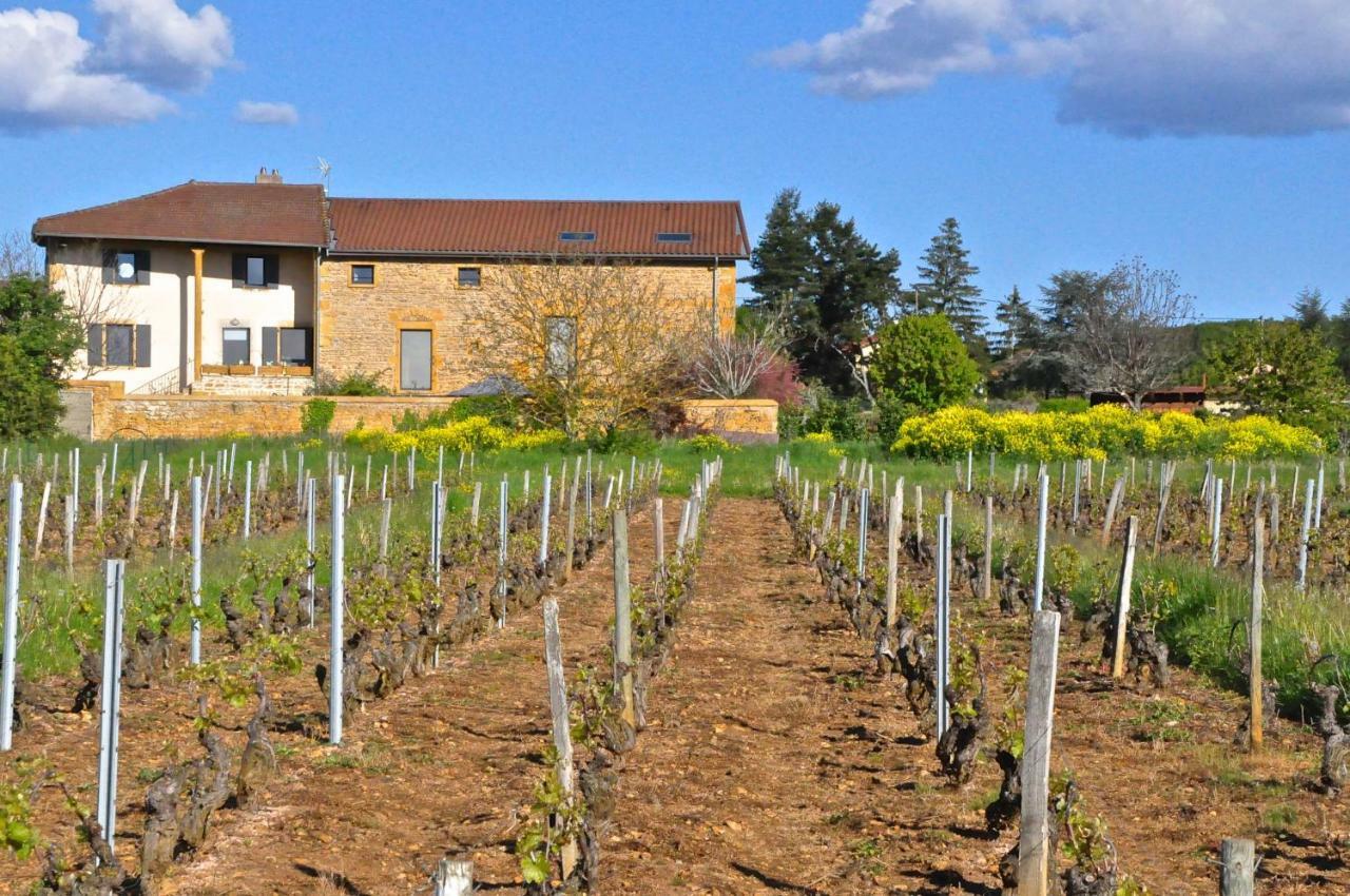 Le Clos Du Cher En Beaujolais Saint-Germain-Nuelles Ngoại thất bức ảnh